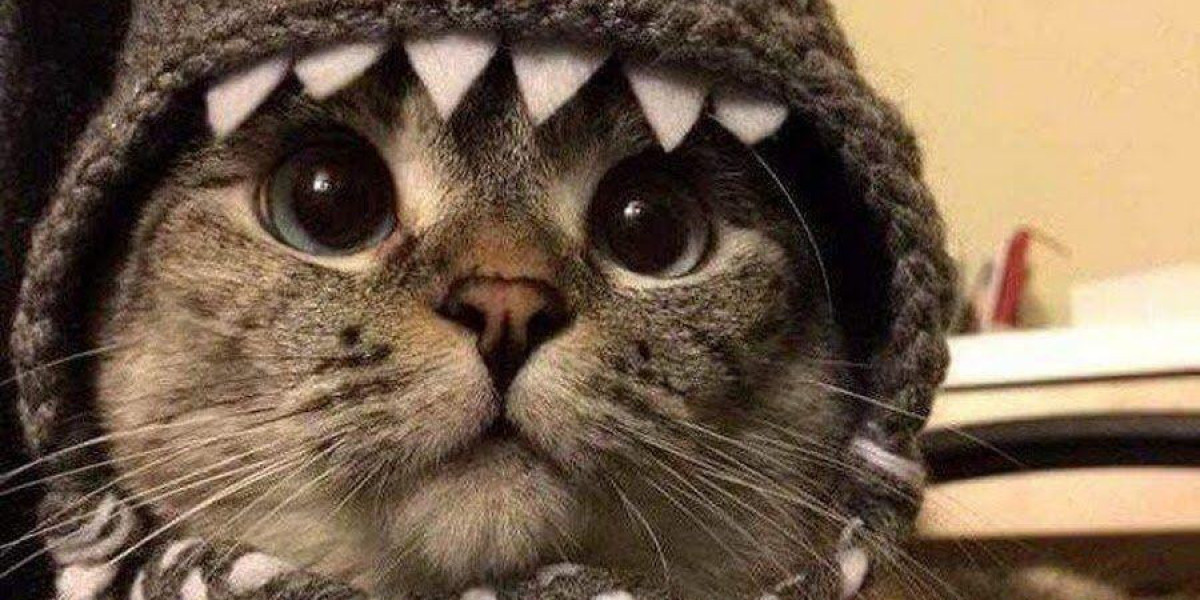 Профессиональная подготовка кадров на itecompany.ru